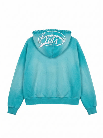 Vintage Icon Zip Hoodie